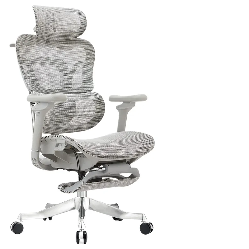 Ergonomischer Bürostuhl für Co – Home Office Work Bewertung und Preis